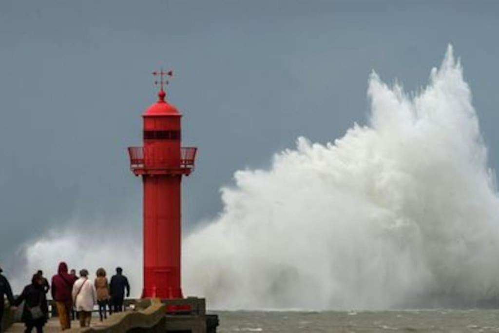 Petit Nid Sur La Cote Lejlighed Boulogne-sur-Mer Eksteriør billede